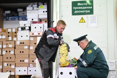 ФТС: поток зарубежных цветов по заниженным ценам в РФ значительно уменьшился