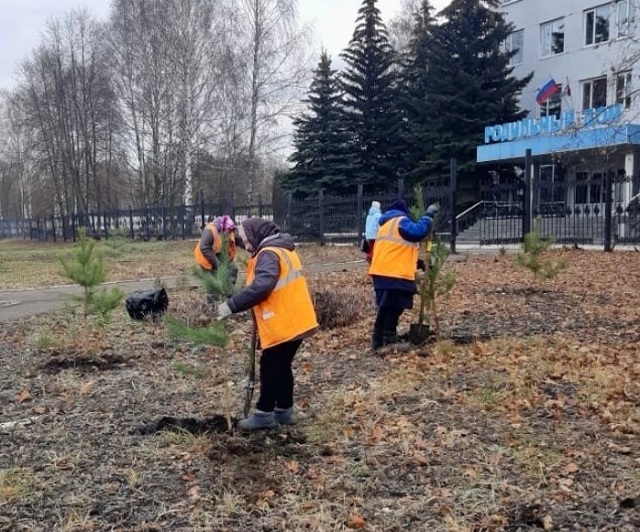 В Саранске высаживают деревья на аллеях и вдоль городских улиц