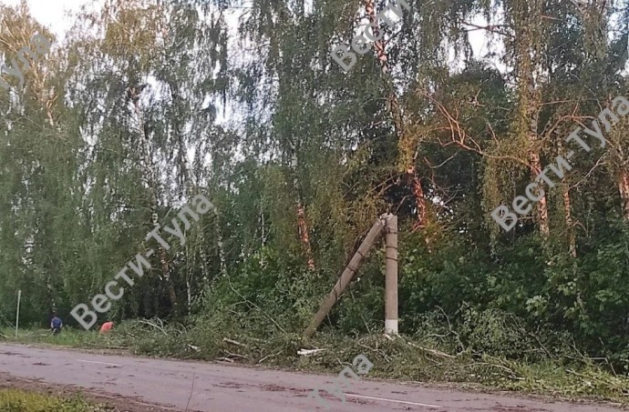 Ураган в Тульской области снëс крыши и вырвал деревья