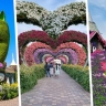 Как развлечься в Дубае кроме моря: погружаемся в мир цветов в Dubai Miracle Garden