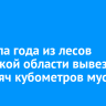 С начала года из лесов Иркутской области вывезли 12 тысяч кубометров мусора