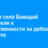Жителя села Баяндай привлекли к ответственности за дебош в самолете