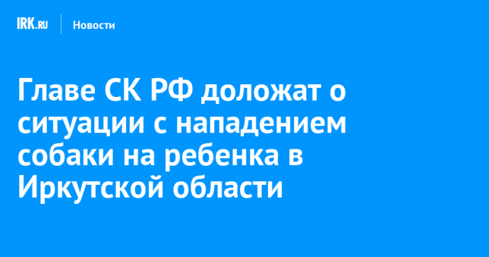 Главе СК РФ доложат о ситуации с нападением собаки на ребенка в Иркутской области