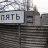 Мощные черви и волки-мутанты: последствия аварии на Чернобыльской АЭС до сих пор отражаются на животных