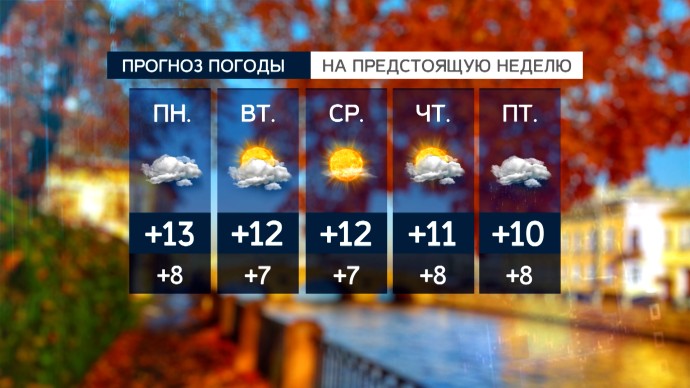 Тепло, пасмурно и без серьезных осадков: чего ждать от погоды в Петербурге с 5 по 11 октября