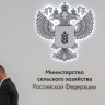В СФ предложили создать Фонд инновационного развития сельского хозяйства