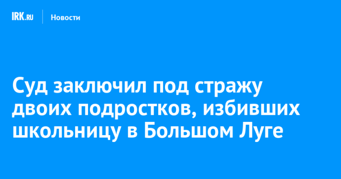 Суд заключил под стражу двоих подростков, избивших школьницу в Большом Луге