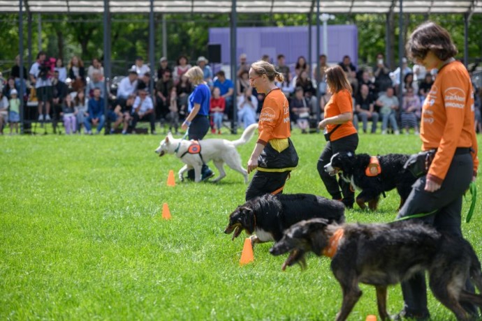 Сергунина: Москвичи выбрали лучшие мероприятия проекта «Друг, спасатель, защитник»