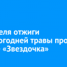 17 апреля отжиги прошлогодней травы пройдут в роще «Звездочка»