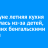 В Куйтуне летняя кухня загорелась из-за детей, игравших бенгальскими огнями...