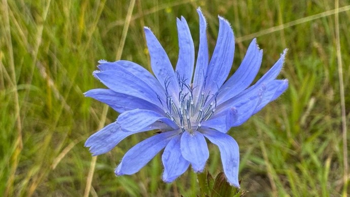 В Башкирии погода приготовила приятный сюрприз