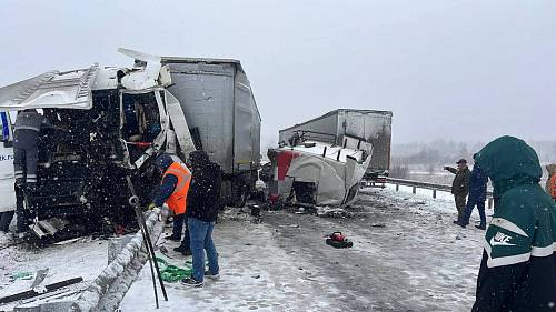 Названа причина жесткого столкновения грузовиков в Приамурье Названа причина жесткого столкновения грузовиков в Приамурье
