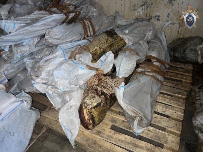 В одном из цехов Астрахани обнаружили 117 тонн сомнительной рыбы