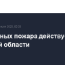 Два лесных пожара действует в Томской области