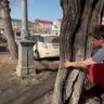 В центре Улан-Удэ избавятся от тополей