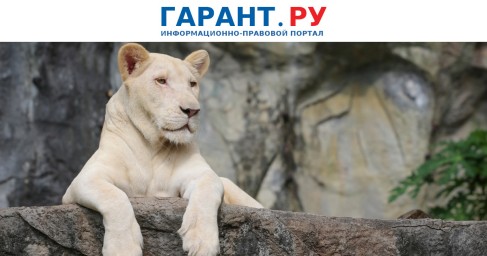 Кабмин скорректировал порядок получения лицензий для зоопарков и цирков