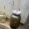 Тайник с запахом: в доме астраханца обнаружили крупную партию каннибиса