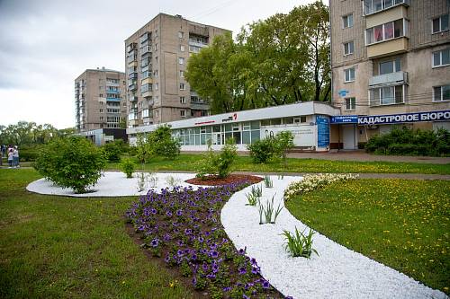 Благовещенцы зовут создать природный арт и получить до 50 тысяч рублей