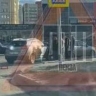 В Пензе произошла авария возле торгового центра Онежский