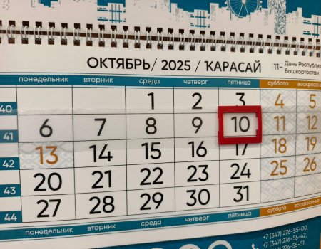 Жителям Башкирии сообщили о сокращённом рабочем дне
