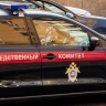 Сына основателя ChronoPay обвинили в угрозах российскому судье