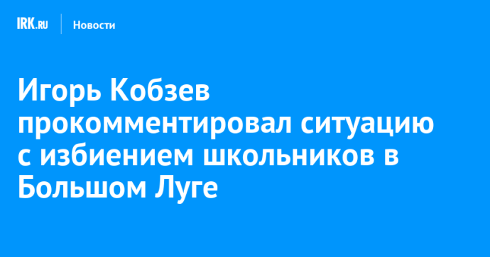 Игорь Кобзев прокомментировал ситуацию с избиением школьников в Большом Луге