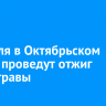 5 апреля в Октябрьском округе проведут отжиг сухой травы