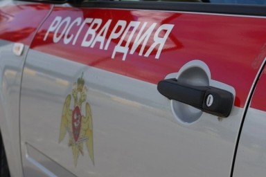 Пьяную дебоширку из Северодвинска пришлось усмирять Росгвардии