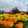 В Курске пройдёт весенняя садовая ярмарка