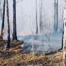 Площадь лесных пожаров в Бурятии превысила 5 тысяч га