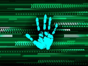 Эксперимент по сбору биометрии у въезжающих в Россию иностранцев – результаты