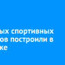 12 новых спортивных объектов построили в Иркутске