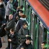 В праздники пассажиры забывали новогоднюю одежду для кошки и набор для гадания