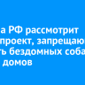 Госдума РФ рассмотрит законопроект, запрещающий кормить бездомных собак вблизи домов