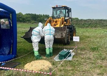 Фермер нашел труп кабана: в Приамурье провели ветеринарные учения
