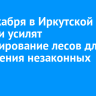 Перед новогодними праздниками в Приангарье усилят патрулирование лесов для пресечения незаконных рубок