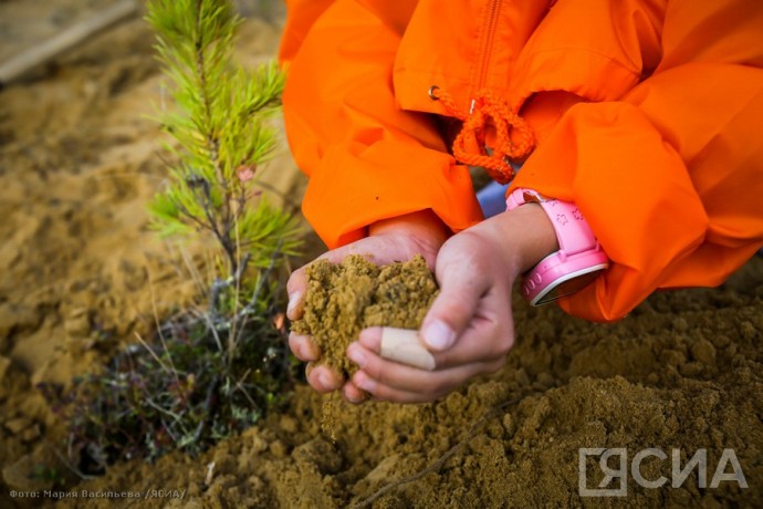 Команда Якутии победила во всероссийском конкурсе школьных лесничеств Команда Якутии победила во всероссийском конкурсе школьных лесничеств