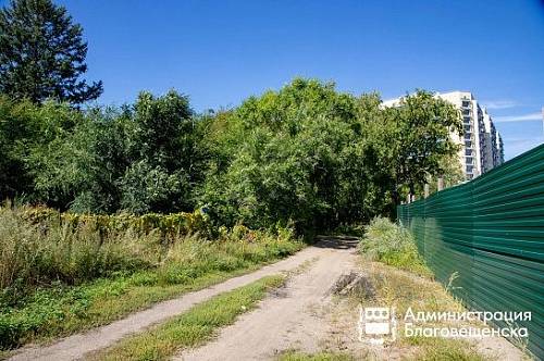 В Благовещенске весной 2026 года начнут благоустраивать Левашовскую рощу