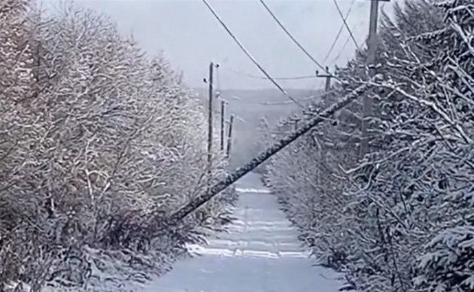 Упавший столб оставил Красногорск без водоснабжения Упавший столб оставил Красногорск без водоснабжения