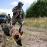 В Курской области уничтожено более 480 тысяч взрывоопасных предметов с начала года