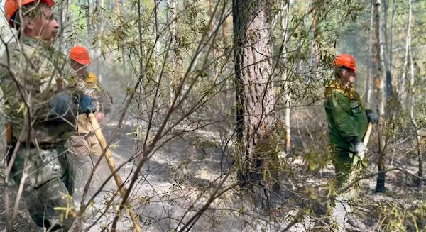 Молния подожгла лес в Бурятии