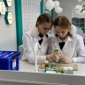 Оскольский филиал ЦЕМРОСа открыл профильный класс химии
