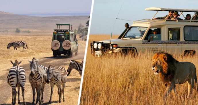 Вы ещё не были на настоящем сафари? И не будете: верховный суд запретил туристам это развлечение Вы ещё не были на настоящем сафари? И не будете: верховный суд запретил туристам это развлечение