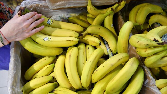 В Роспотребнадзоре рассказали, почему нужно мыть бананы перед едой