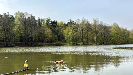 Стартовал всероссийский экологический конкурс "Зеленый Зачет"