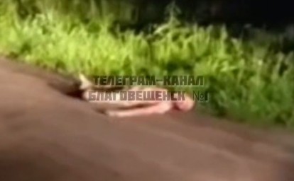 "Отрезана грудь и некоторые другие части тела": амурчанин жестоко убил соседку