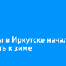 Клумбы в Иркутске начали готовить к зиме