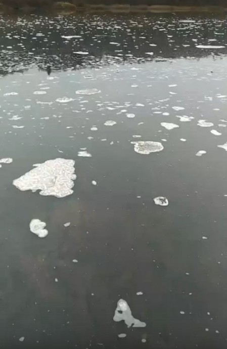 Загрязнение реки в Демьяново: Росприроднадзор направил материалы в прокуратуру