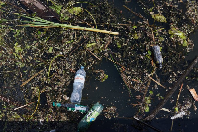 Суру не могут расчистить быстро: в пензенском минлесхозе объяснили, в чем проблема