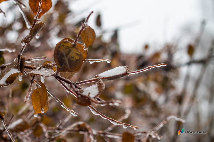 В Кирове и области ожидаются дожди со снегом и гололедица
